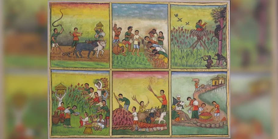 Beyond the Fertile Crescent: Ethiopia’s Forgotten Cradle of Farming | The Reporter | #1 Latest Ethiopian News Today