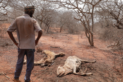 Borana-Drought-2023-picture-11